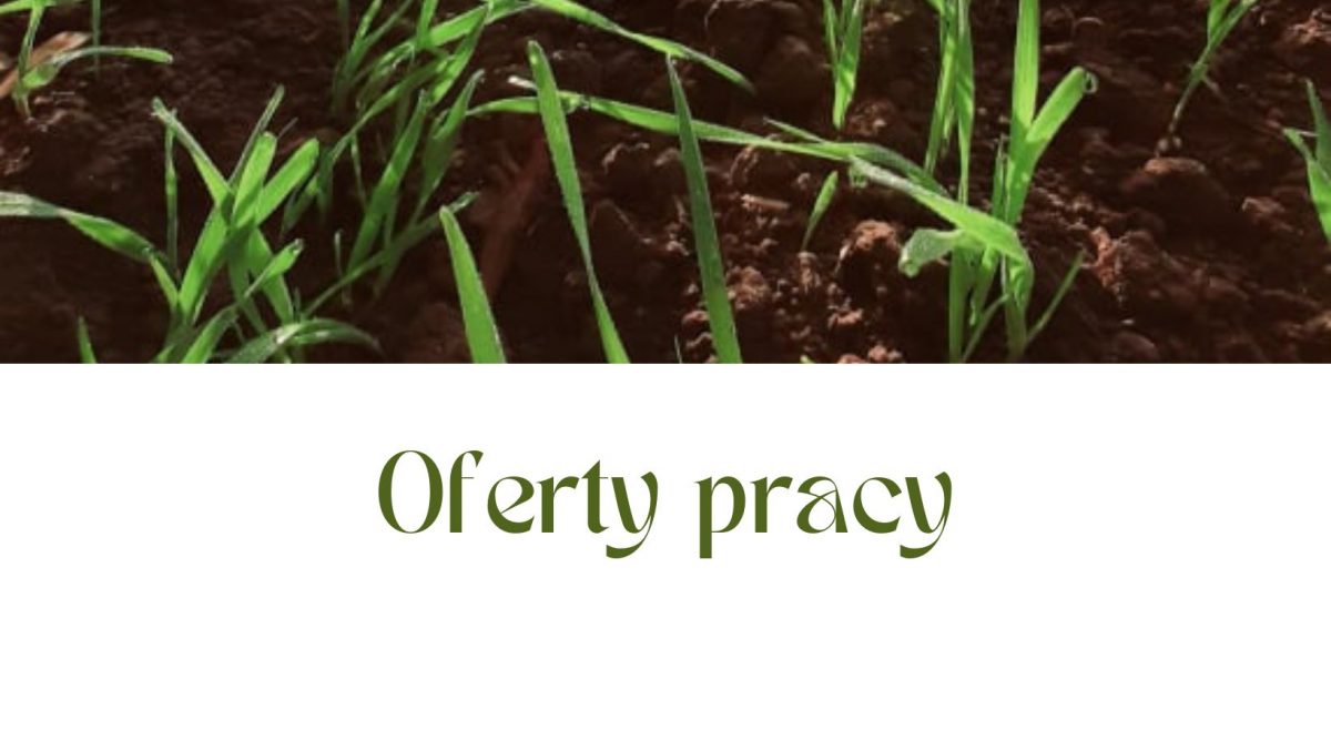 Oferty pracy