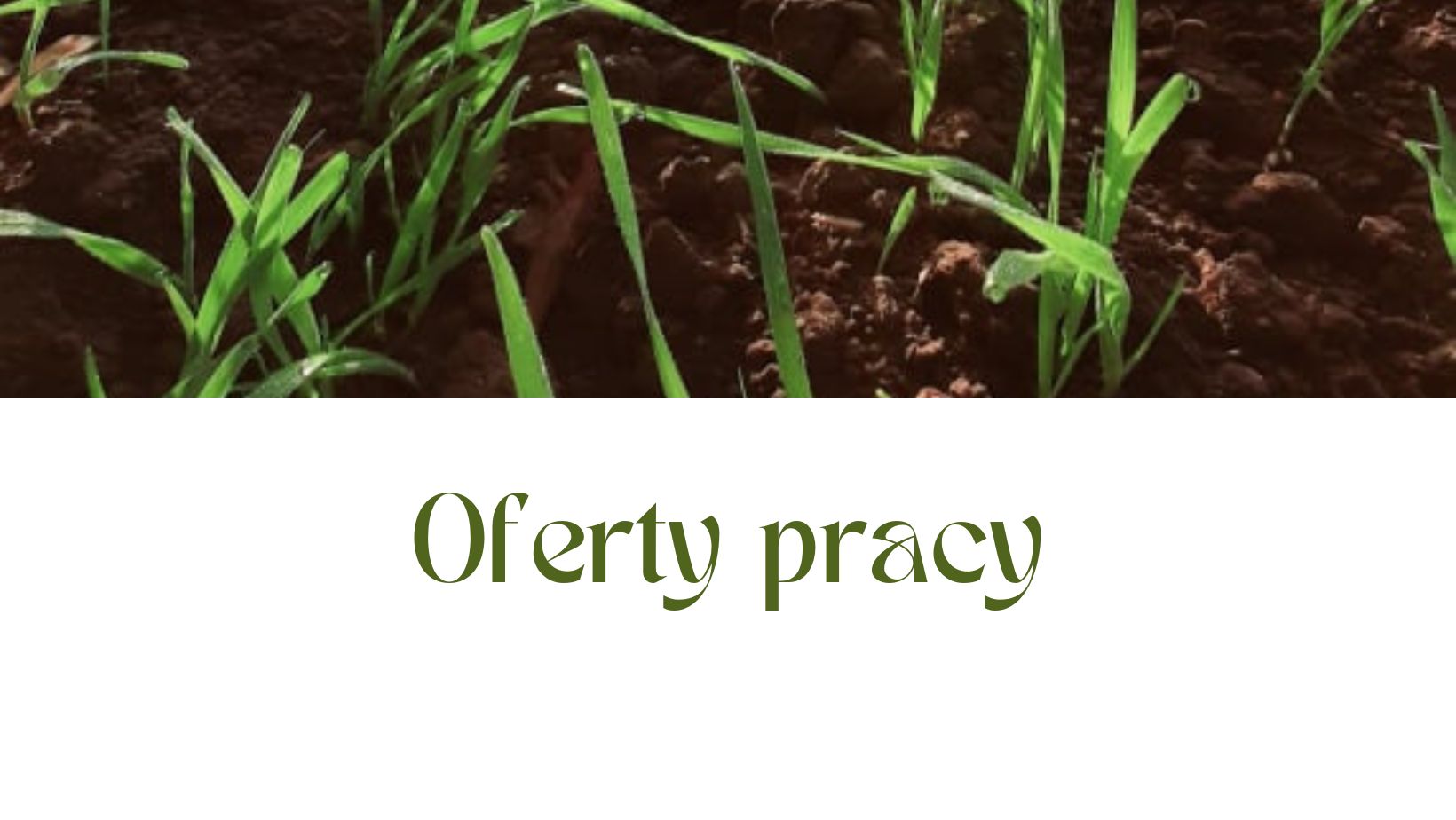 Oferty pracy